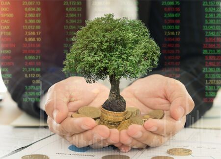 business and economic growth concept. tree grow up on money coins stack in hand of investor with index stock market. investment and economy concept.の写真素材