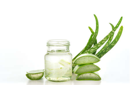 Aloe Vera sliced isolated on white background.の写真素材