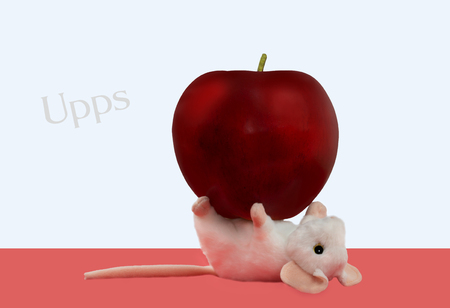 The white mouse falls on his back and holds the apple.の写真素材