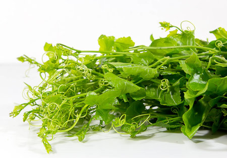 vegetablesの写真素材