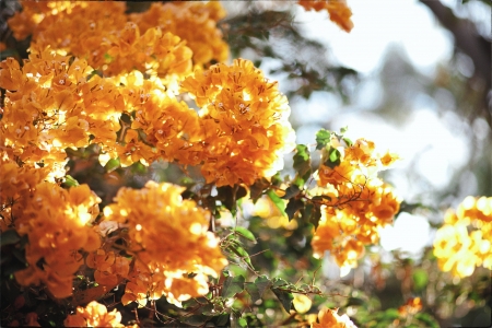 orange moodの写真素材