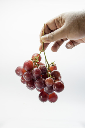 Red grape and Hand on White Baclgroundの写真素材