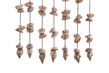 Hanging Seashells on White Backgroundの写真素材