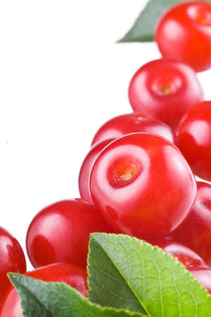 Cherries on white backgroundの写真素材