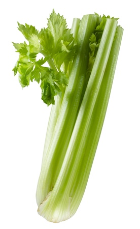 fresh green celery isolated on white backgroundの写真素材