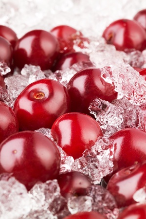 Cherry with iceの写真素材