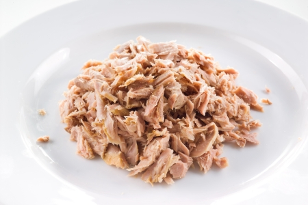 tuna fish closeupの写真素材