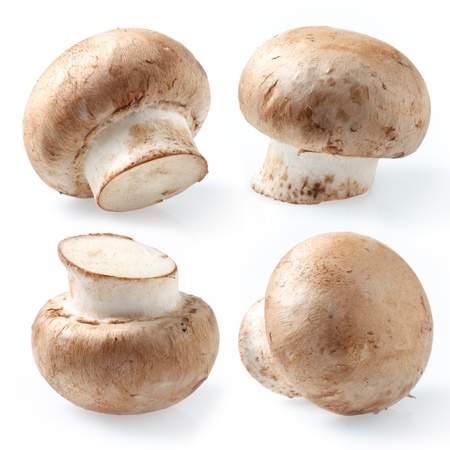 collection  Fresh royal champignons, set on white backgroundの写真素材