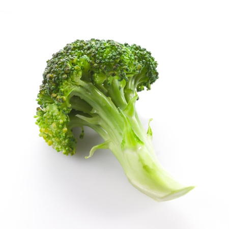 Broccoli on a white backgroundの写真素材