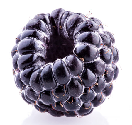 Blackberryの写真素材