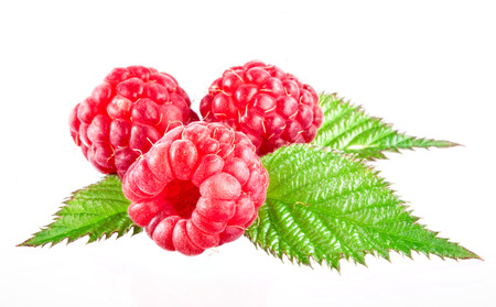 raspberries isolated on white backgroundの写真素材