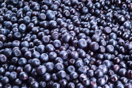  Blueberry background. Freshly picked berriesの写真素材