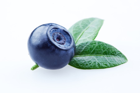 Blueberry with leaves isolated on whiteの写真素材