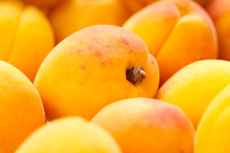 Apricots backgroundの写真素材