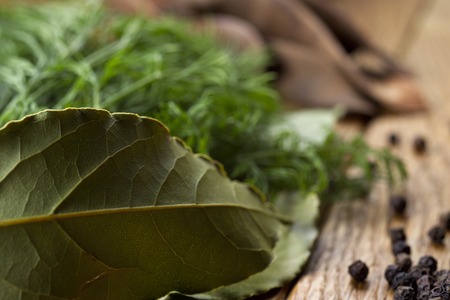 Bay leave with soft focus on backgroundの写真素材