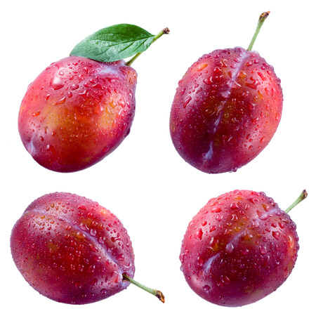 Plum with drops isolated on white background. Collectionの写真素材