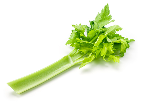 Celery isolated on white backgroundの写真素材