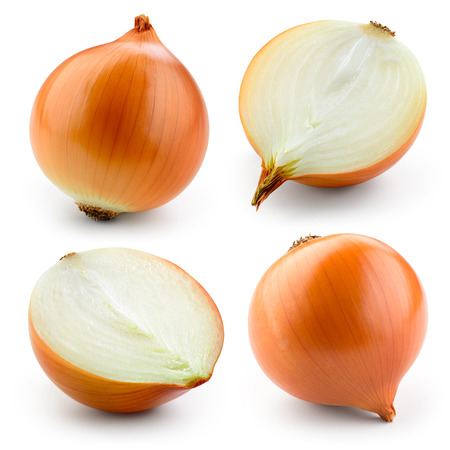 Onion bulb isolated on white. With clipping path. Collection.の写真素材