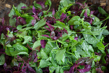 Fresh salad. Organic food background.の写真素材