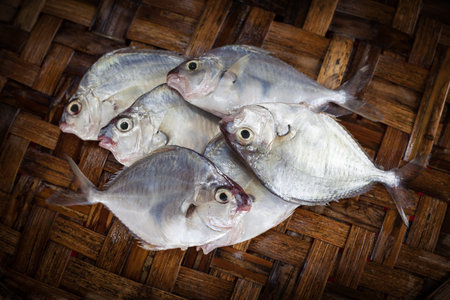 Fresh fish in market. Seafood background.