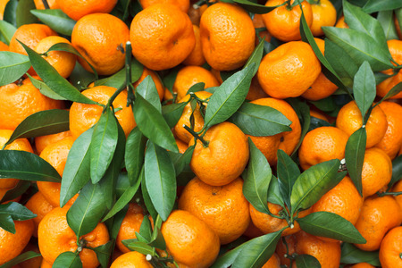Fresh mandarin background. Orange fruit.の写真素材