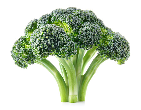 Broccoli. Fresh broccoli isolated on white. Full depth of field.の写真素材
