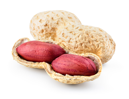 Peanuts isolated on white background. Full depth of field.の写真素材