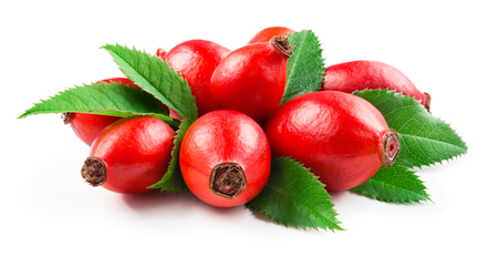 Rosehip isolated on a white background. Branch with berries and leaves.の写真素材