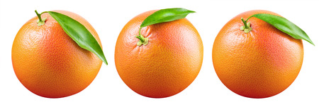 Grapefruit with leaf isolated on white background. With clipping path. Full depth of field.の写真素材