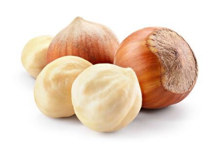 Hazelnut. Fresh organic filbert isolated on white background. Composition. Macro. With clipping path. Full depth of field.の写真素材