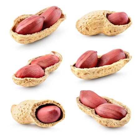Peanuts. Nuts in shell and peeled isolated on white background. Collection. Full depth of field.の写真素材