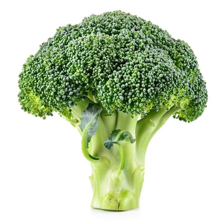 Fresh raw broccoli. Broccoli isolated on white. Full depth of field.の写真素材