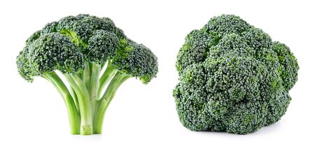 Broccoli. Broccoli isolated.の写真素材