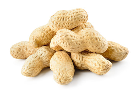 Peanuts isolated. Peanut on white background.