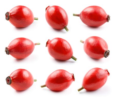 Rosehips. Rosehip isolated. Rose hip on a white. Collectionの写真素材