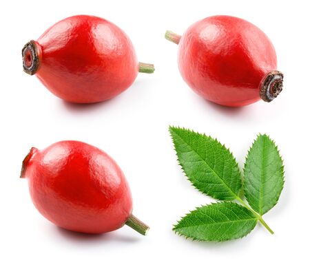 Rosehip isolated. Rose hip on a white. Collection.の写真素材