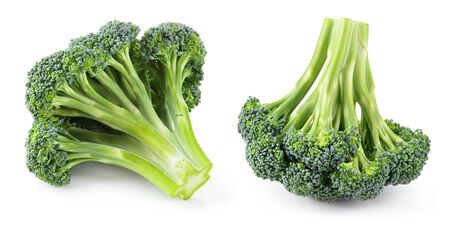 Broccoli. Broccoli isolated.の写真素材