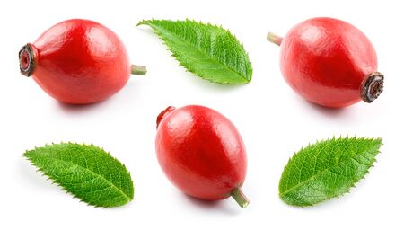 Rosehip isolated. Rose hip with leaf on white. Collection.の写真素材