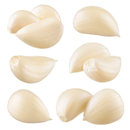 Garlic cloves. Garlic isolated. Garlic cloves on white. Collection.の写真素材