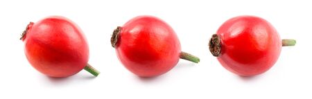 Rose hip isolated. Rosehip on a white. Collectionの写真素材