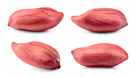 Peanuts isolated. Peanut on white background. Peanut set. Clipping path. Full depth of field.