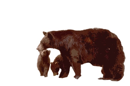 black bear with cubs cutout style standing in front of a white backgroundの写真素材