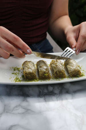 Traditional turkish dessert baklava with cashew, walnuts. Homemade baklava with nuts and honey.の写真素材