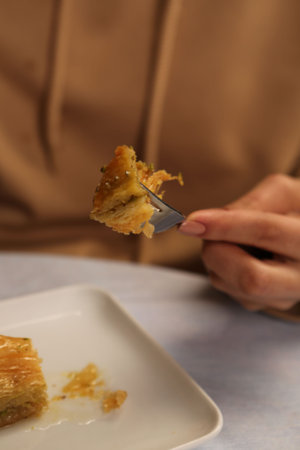 Traditional turkish dessert baklava with cashew, walnuts. Homemade baklava with nuts and honey.