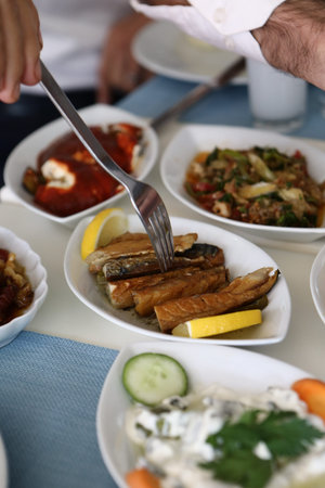Traditional Turkish and Greek dinner appetizer table