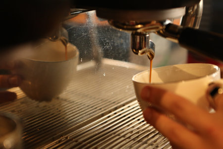 barista brewing coffee in the coffee room