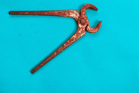 old well used pair of rusty nippers