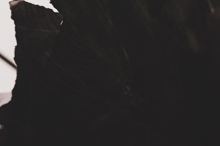black creased crumpled paper background grunge texture backdrop