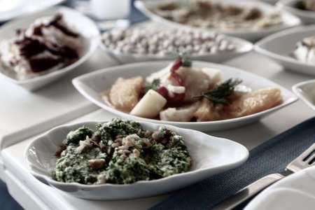 Traditional Turkish and Greek dinner appetizer tableの写真素材