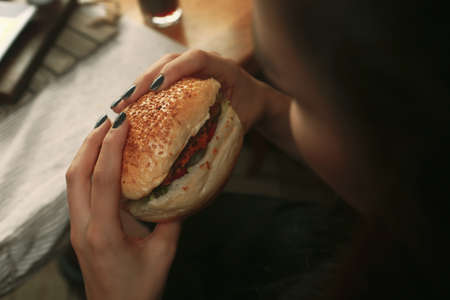 Homemade hamburger with fresh vegetablesの写真素材